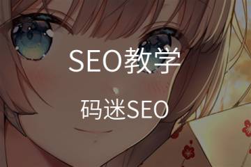 学习使用Site指令，诊断《 Google索引 》状况/