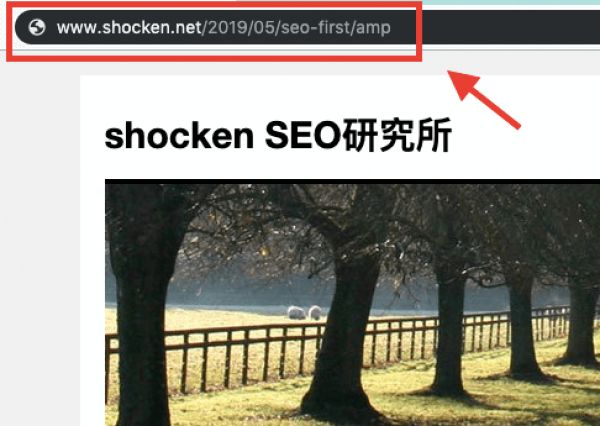 add amp to url